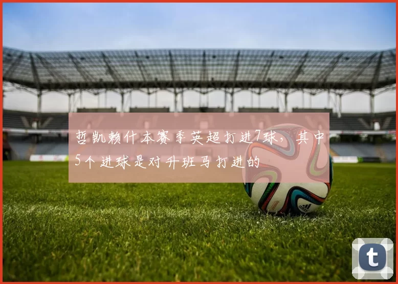 哲凯赖什本赛季英超打进7球，其中5个进球是对升班马打进的